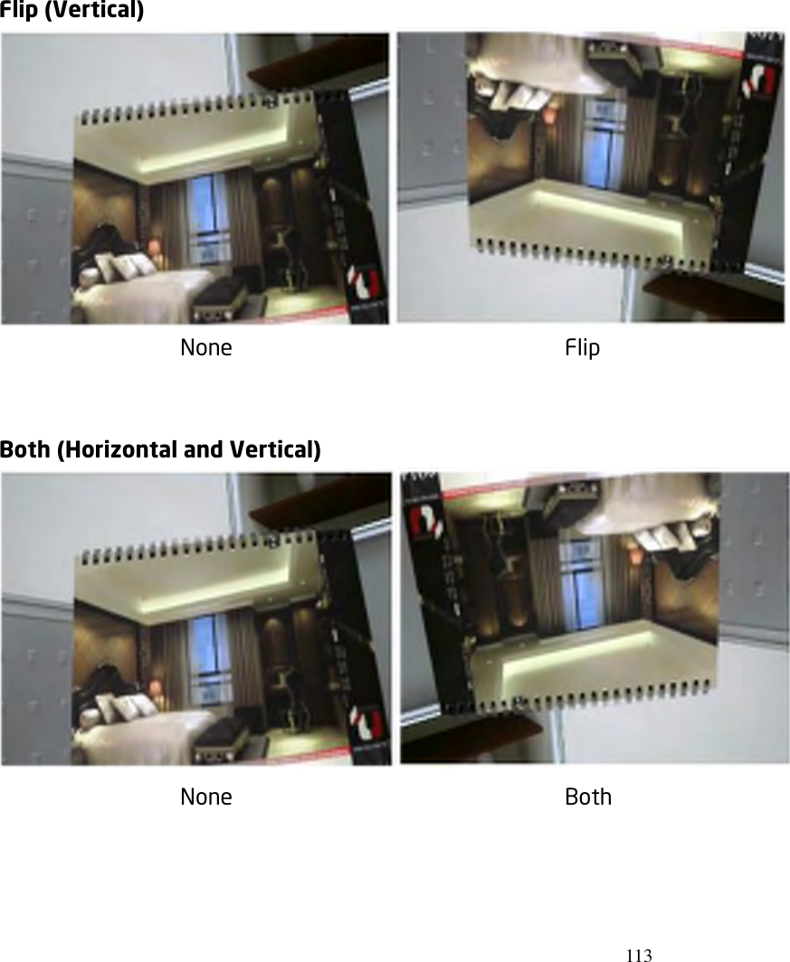 113  Flip (Vertical)  None               Flip   Both (Horizontal and Vertical)          None               Both    