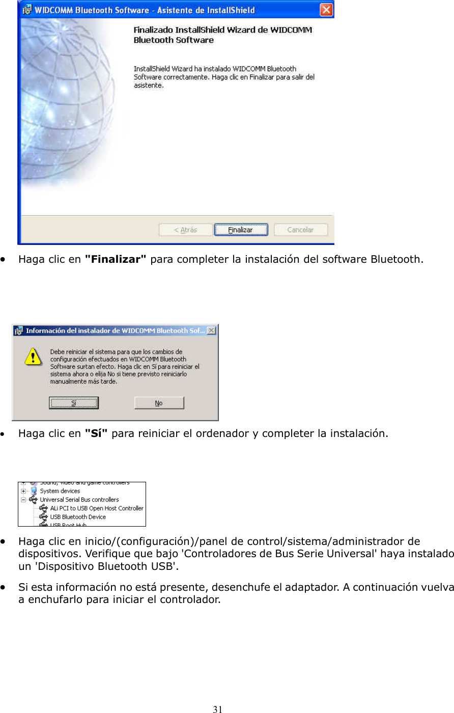 31  &bull;  Haga clic en "Finalizar" para completer la instalaci&oacute;n del software Bluetooth.     &bull;  Haga clic en "S&iacute;" para reiniciar el ordenador y completer la instalaci&oacute;n.    &bull;  Haga clic en inicio/(configuraci&oacute;n)/panel de control/sistema/administrador de dispositivos. Verifique que bajo 'Controladores de Bus Serie Universal' haya instalado un 'Dispositivo Bluetooth USB'. &bull;  Si esta informaci&oacute;n no est&aacute; presente, desenchufe el adaptador. A continuaci&oacute;n vuelva a enchufarlo para iniciar el controlador. 