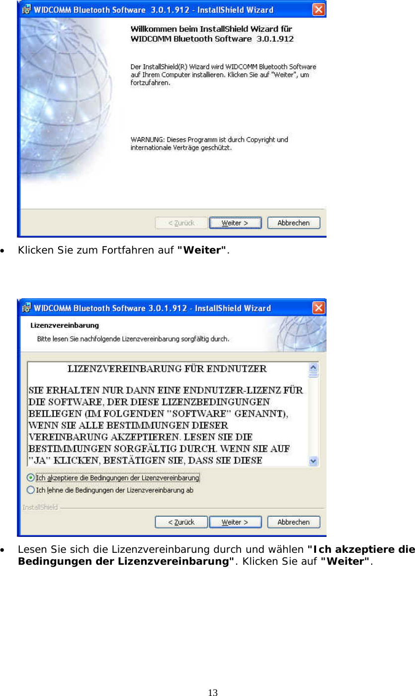 13  &bull;  Klicken Sie zum Fortfahren auf "Weiter".    &bull;  Lesen Sie sich die Lizenzvereinbarung durch und w&auml;hlen "Ich akzeptiere die Bedingungen der Lizenzvereinbarung". Klicken Sie auf "Weiter".  