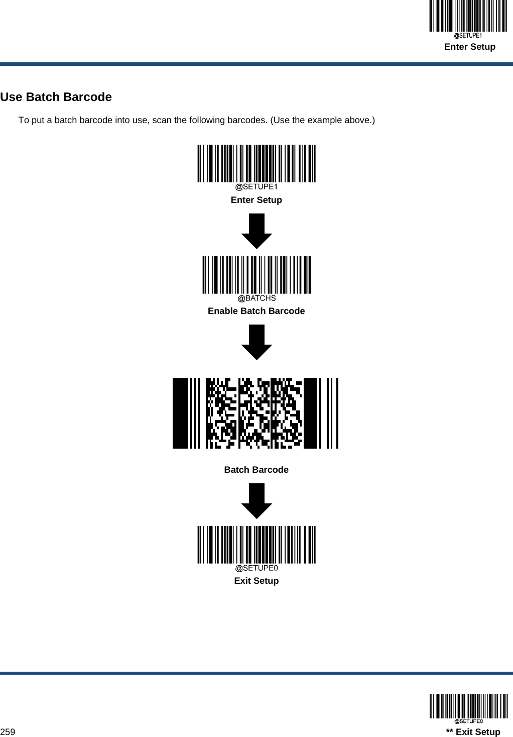 Enter Setup  259                                                                                   ** Exit Setup  Use Batch Barcode To put a batch barcode into use, scan the following barcodes. (Use the example above.)   Enter Setup   Enable Batch Barcode   Batch Barcode   Exit Setup   