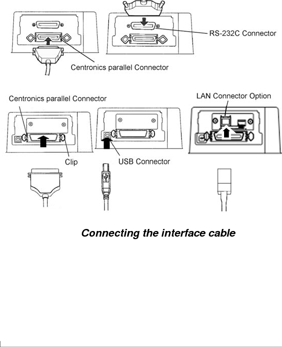 SETTING UP    2-22  User&apos;s Manual Selecting a USB Cable   When the USB interface is used to connect to the host computer, the parallel interface and the serial interface (factory add-on option) cannot be connected simultaneously.   The USB interface does not guarantee all connections of USB-supported devices. Selecting a LAN cable   When the LAN cable is connected, the parallel and USB cables cannot be used.   The LAN cable, when used in 100BASE-TX environments, must conform to category 5 or higher. Connecting the Interface Cable To connect the interface cable: 1.  Turn off both the printer and the computer. 2.  Attach the interface cable to the connector. Do not connect more than one interface cable type to the printer at the same time.   Connecting the interface cable 