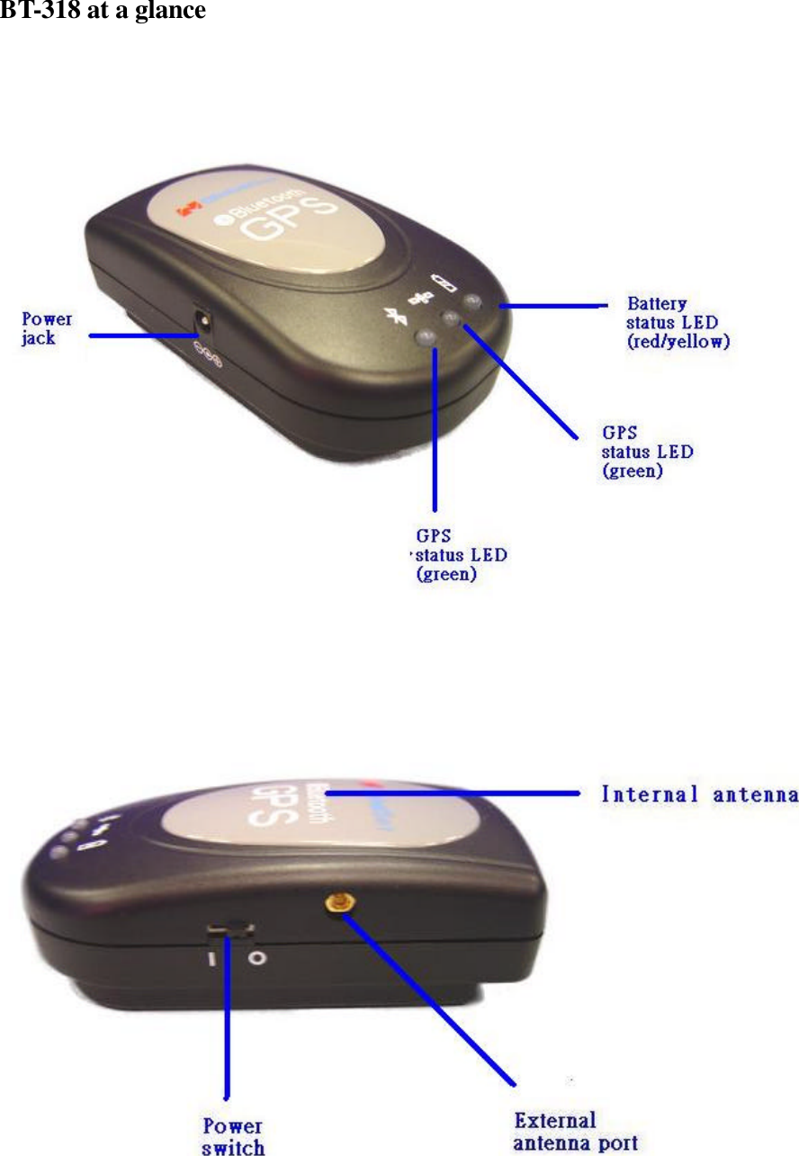 BT-318 at a glance                                    