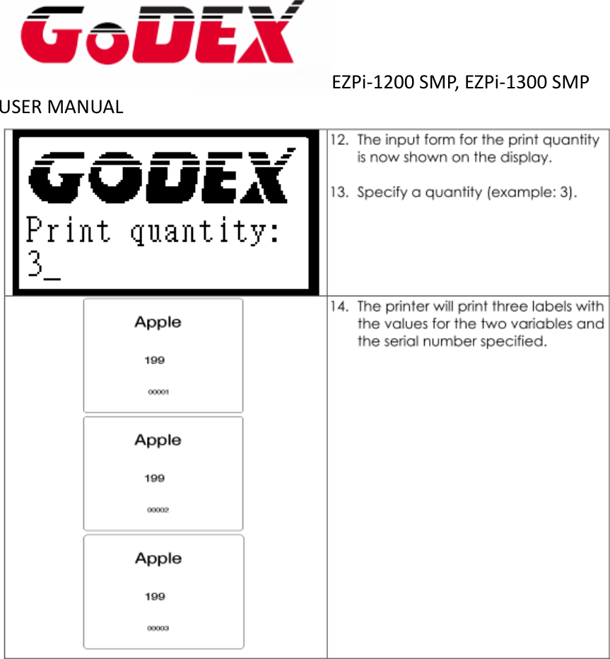  EZPi-1200 SMP, EZPi-1300 SMP USER MANUAL      
