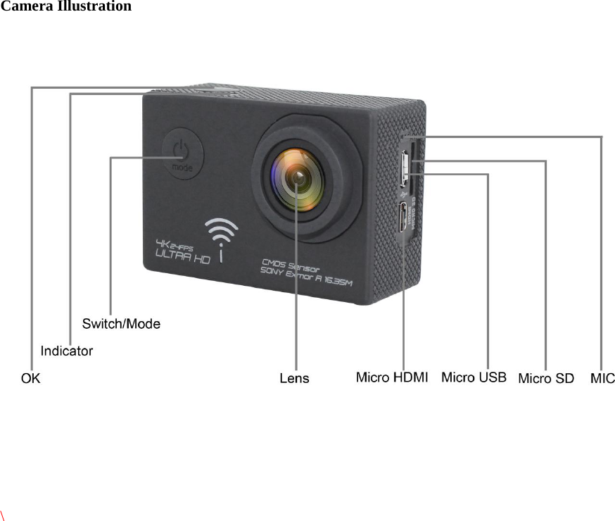    Camera Illustration          \                      