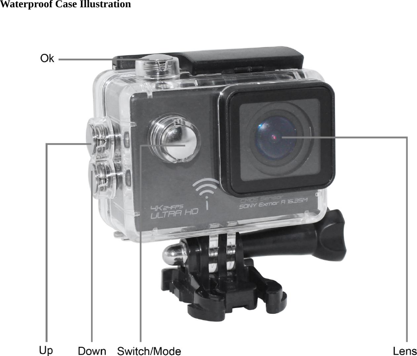   Waterproof Case Illustration                              