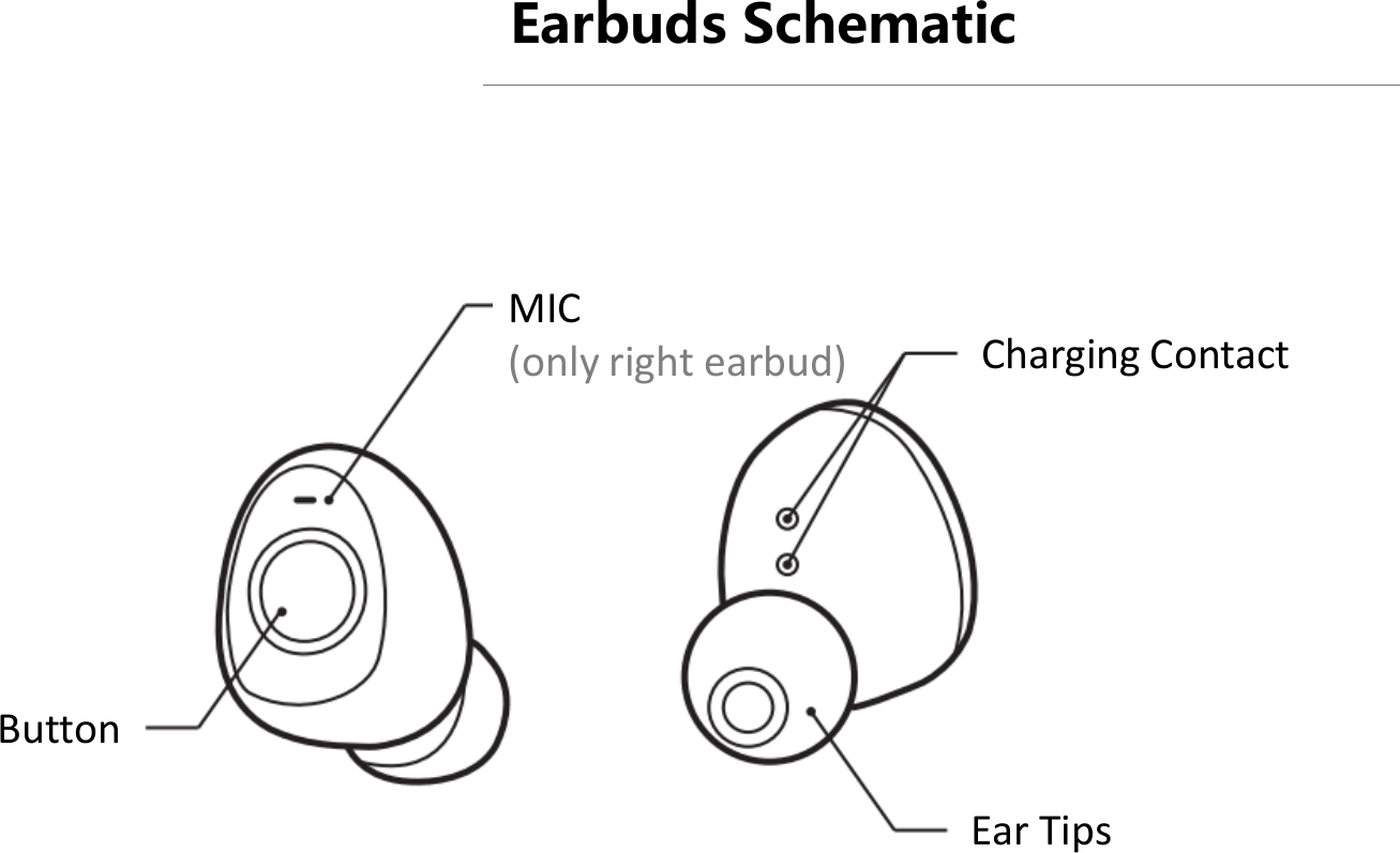 Earbuds Schematic Ear Tips MIC (only right earbud) Button Charging Contact 