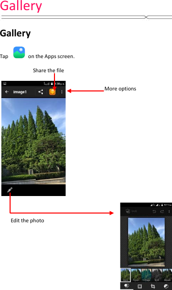 Gallery   Gallery    Tap   on the Apps screen.                Share the file Edit the photo More options 