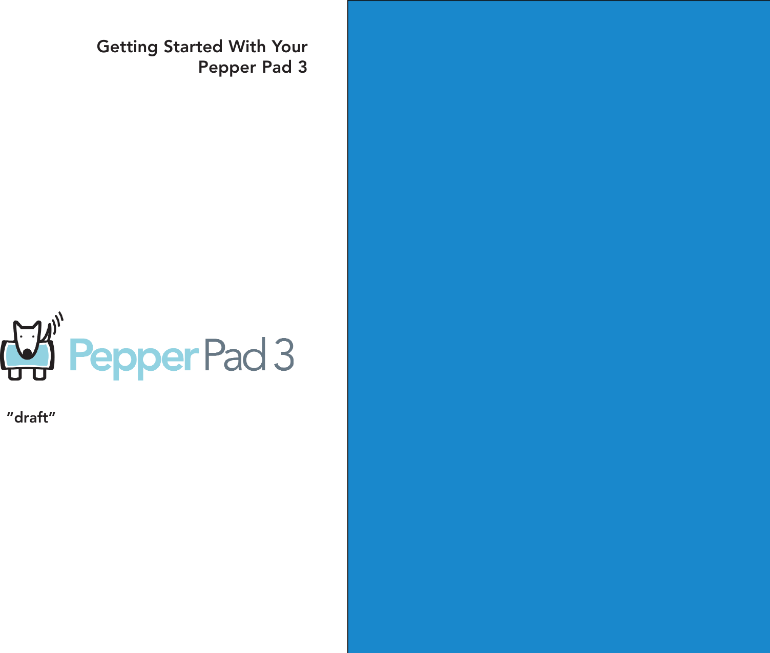 Getting Started With YourPepper Pad 3“draft”