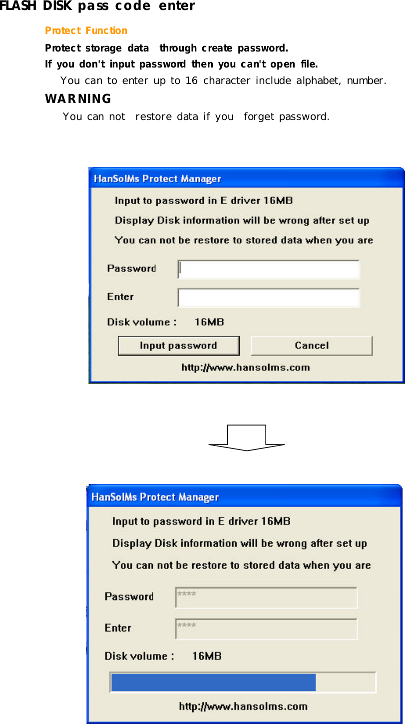 FLASHDISKpass code enterProtectFunctionProtectstoragedatathroughcreatepassword.Ifyoudon&apos;tinputpasswordthenyoucan&apos;topenfile.Youcantoenterupto16 characterinclude alphabet,number.WARNINGYoucan notrestore dataifyouforgetpassword.