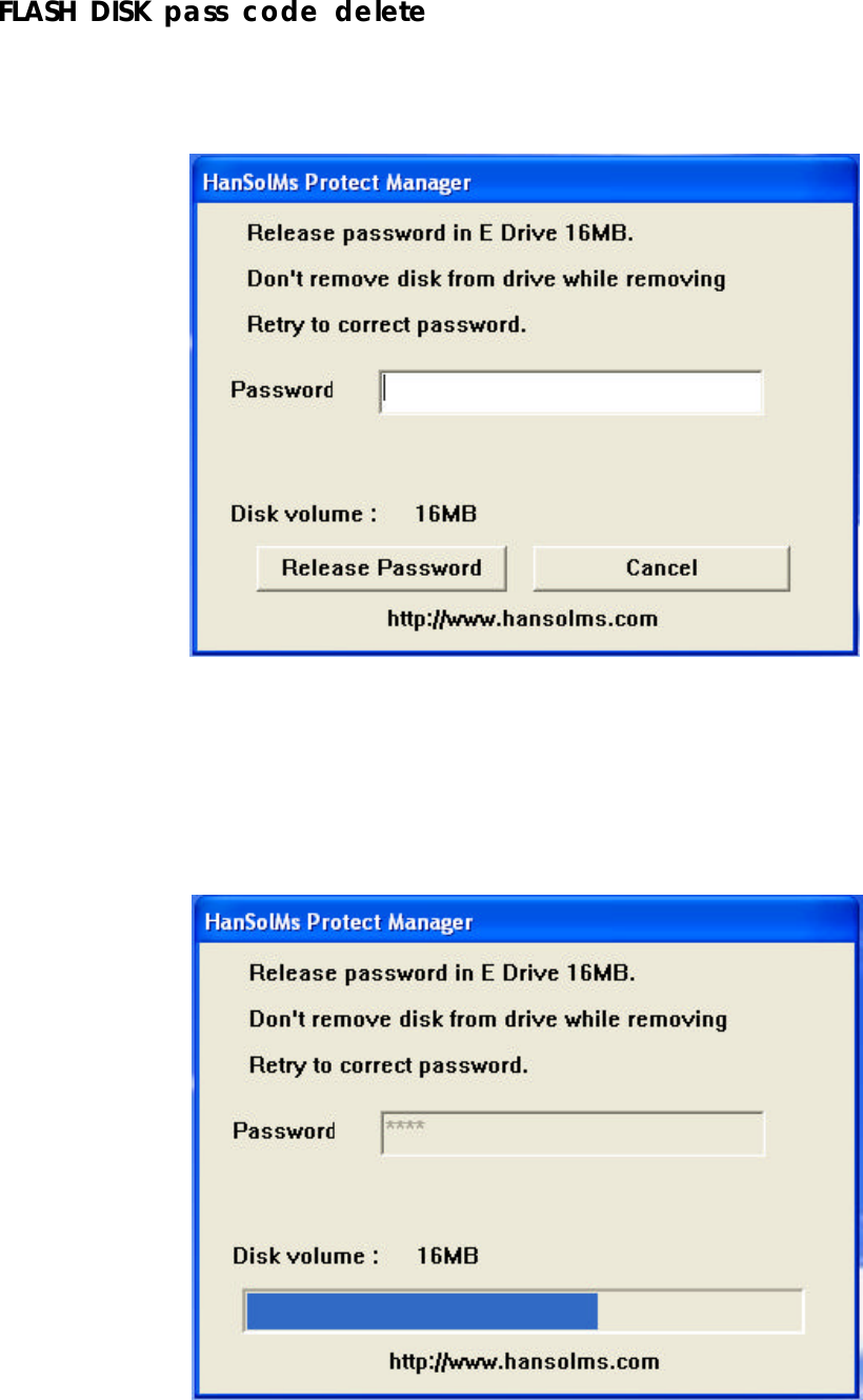 FLASHDISKpass codedelete