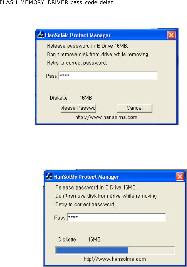 FLASH  MEMORY  DRIVER pass code delet