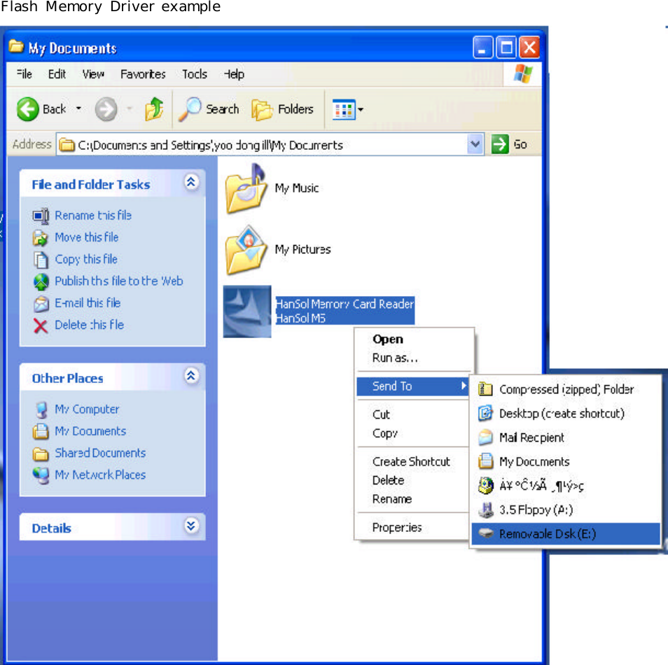 Flash  Memory Driver example 