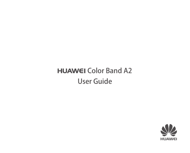 Color Band A2User Guide