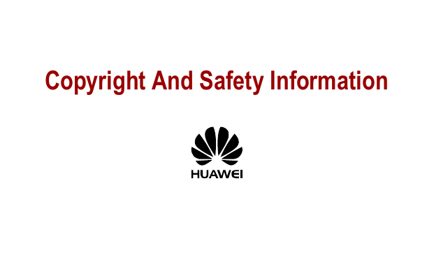  Copyright And Safety Information  