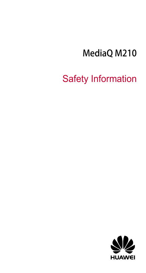    MediaQ M210    Safety Information 