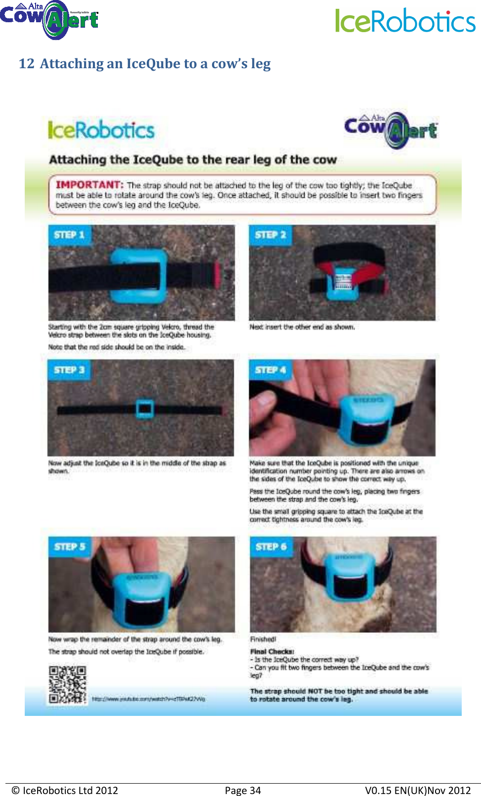     © IceRobotics Ltd 2012  Page 34  V0.15 EN(UK)Nov 2012  12  Attaching an IceQube to a cow’s leg     