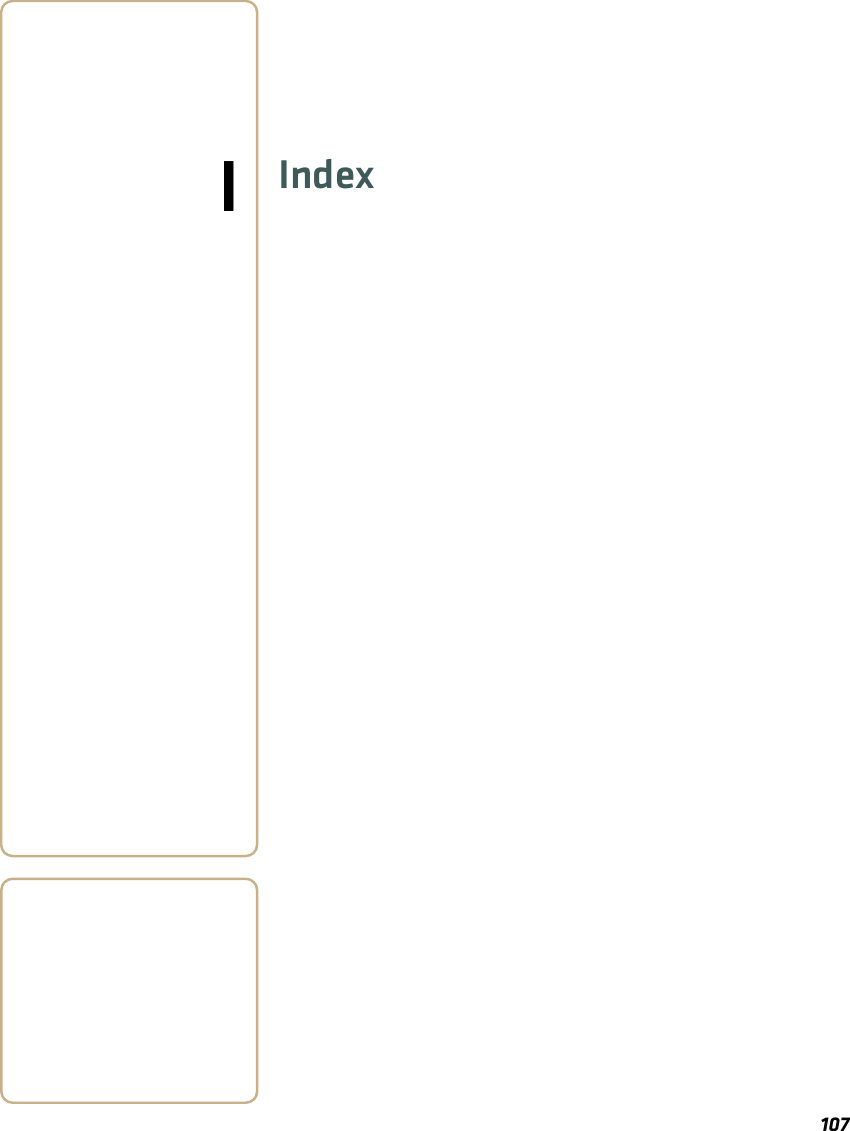 107IIndex