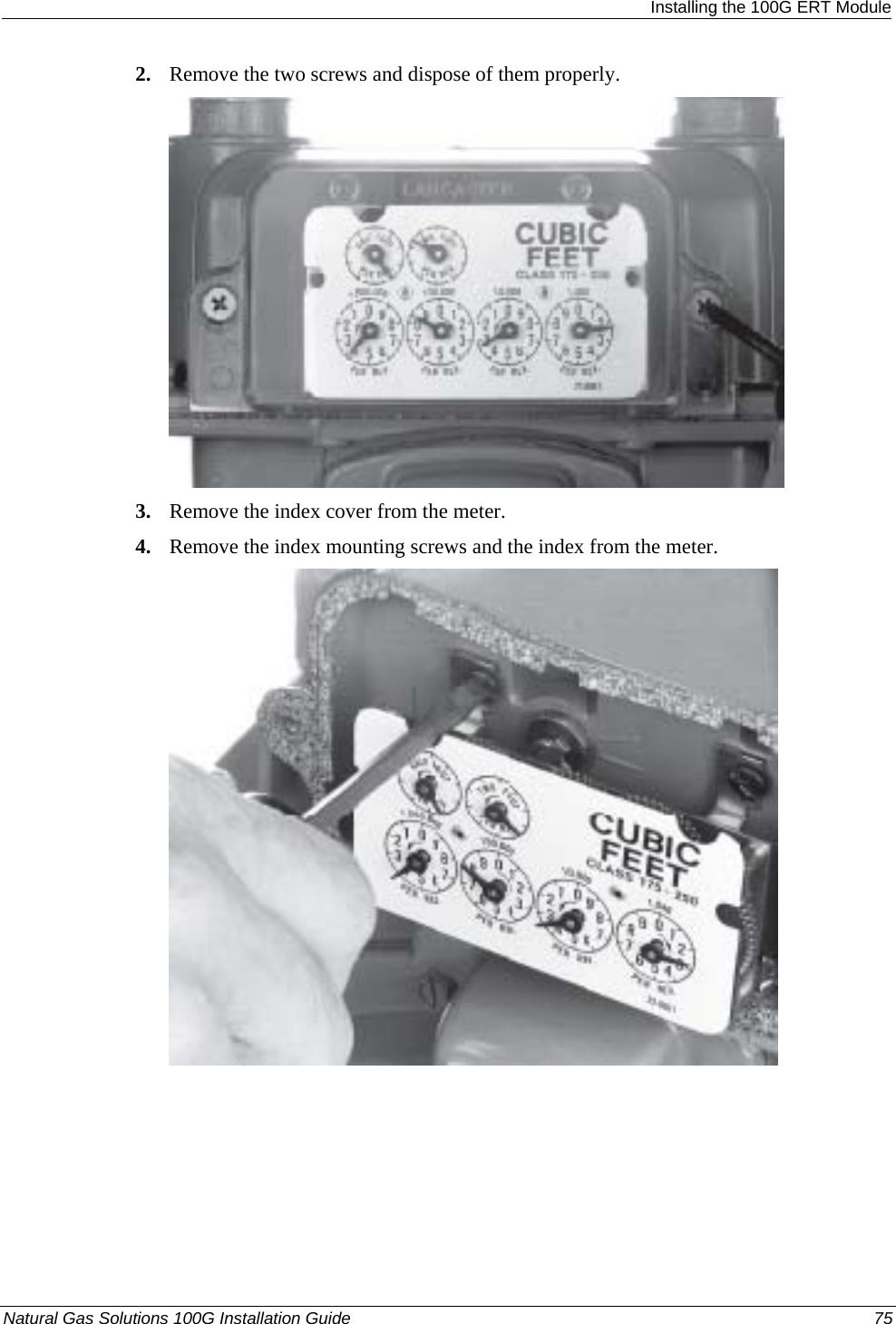  Installing the 100G ERT Module 2. Remove the two screws and dispose of them properly.  3. Remove the index cover from the meter. 4. Remove the index mounting screws and the index from the meter.  Natural Gas Solutions 100G Installation Guide  75  