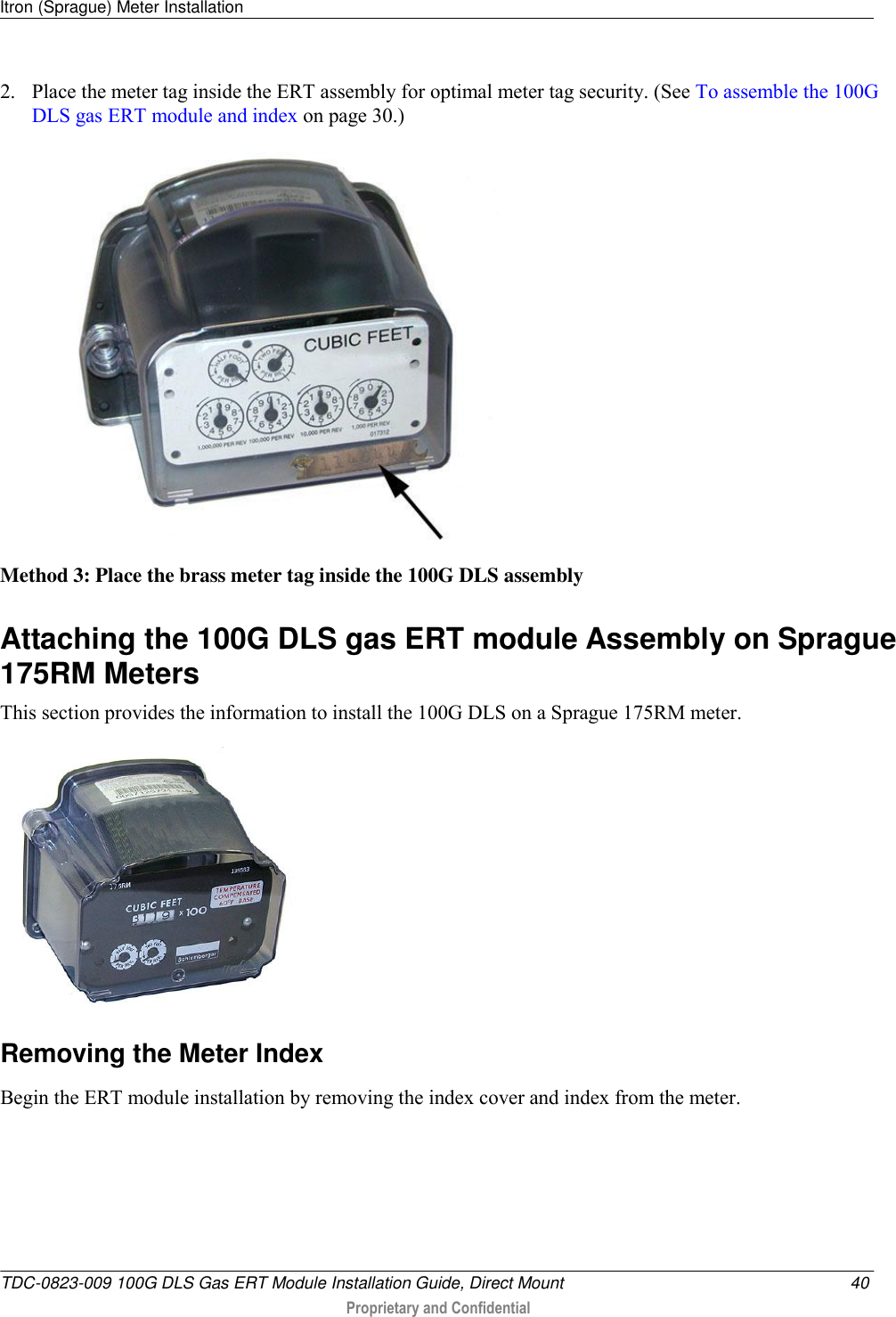 Itron (Sprague) Meter Installation   TDC-0823-009 100G DLS Gas ERT Module Installation Guide, Direct Mount  40  Proprietary and Confidential    2. Place the meter tag inside the ERT assembly for optimal meter tag security. (See To assemble the 100G DLS gas ERT module and index on page 30.)  Method 3: Place the brass meter tag inside the 100G DLS assembly  Attaching the 100G DLS gas ERT module Assembly on Sprague 175RM Meters This section provides the information to install the 100G DLS on a Sprague 175RM meter.   Removing the Meter Index Begin the ERT module installation by removing the index cover and index from the meter.  