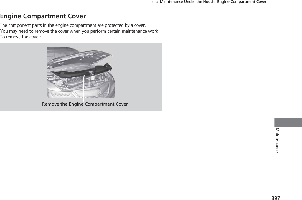 397uuMaintenance Under the HooduEngine Compartment CoverMaintenanceEngine Compartment CoverThe component parts in the engine compartment are protected by a cover.You may need to remove the cover when you perform certain maintenance work. To remove the cover:Remove the Engine Compartment Cover