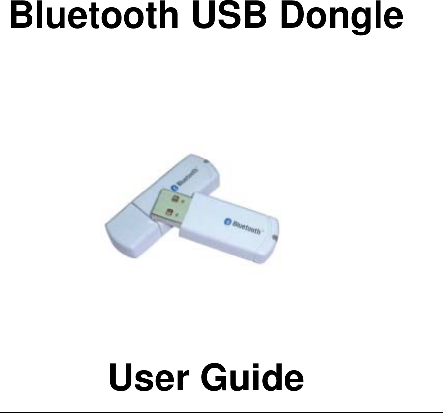     Bluetooth USB Dongle         User Guide  