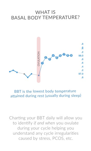 Charng your BBT daily will allow you to idenfy if and when you ovulate during your cycle helping you understand any cycle irregularies caused by stress, PCOS, etc.WHAT ISBASAL BODY TEMPERATURE?123546789.8.6.4.298.0.8.6.4.297.0.8OVULATIONBBT is the lowest body temperature aained during rest (usually during sleep)
