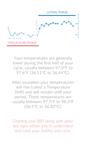 Your temperatures are generally lower during the ﬁrst half of your cycle, usually between 97.0&ordm;F to 97.6&ordm;F (36.11&ordm;C to 36.44&ordm;C).Aer ovulaon your temperatures will rise (called a Temperature Shi) and will remain unl your period. These temperatures are usually between 97.7&ordm;F to 98.3&ordm;F (36.5&ordm;C to 36.83&ordm;C).Charng your BBT along with other key signs allows you to understand and track your ferlity and cycle.123546789111213141516.8.6.4.298.0.8.6.4.297.0.8OVULATIONMENSTRUATIONFOLLICULAR PHASELUTEAL PHASE