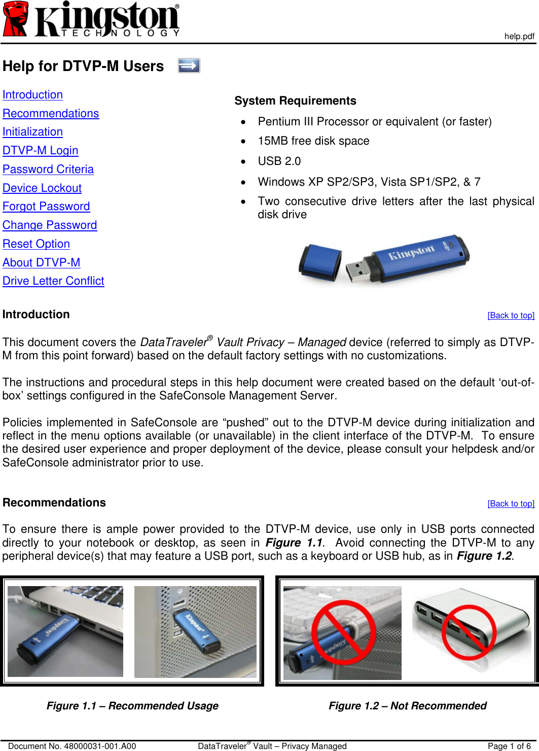 Kingston DataTraveler 110