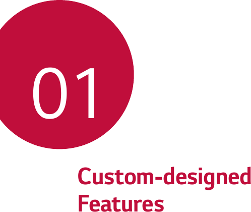 Custom-designed Features01