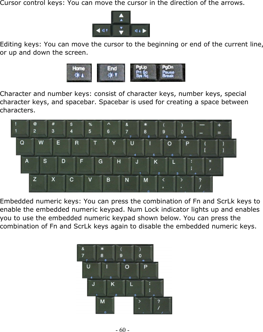     Cursor control keys: You can move the cursor in the direction of the arrows.     Editing keys: You can move the cursor to the beginning or end of the current line, or up and down the screen.     Character and number keys: consist of character keys, number keys, special character keys, and spacebar. Spacebar is used for creating a space between characters.           Embedded numeric keys: You can press the combination of Fn and ScrLk keys to enable the embedded numeric keypad. Num Lock indicator lights up and enables you to use the embedded numeric keypad shown below. You can press the combination of Fn and ScrLk keys again to disable the embedded numeric keys.           - 60 -      