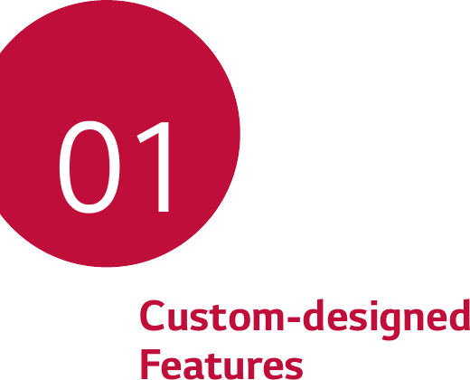 Custom-designed Features01