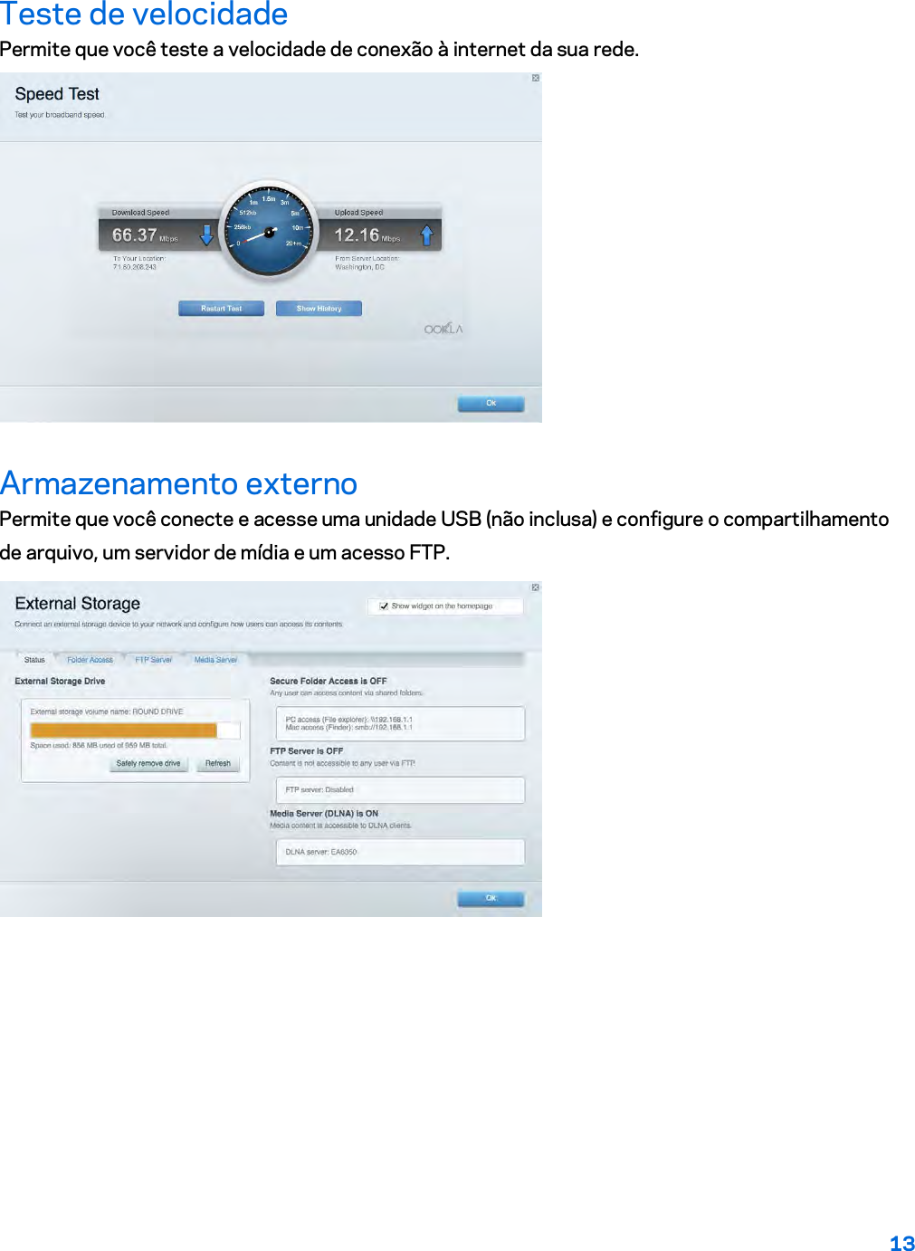 13  Teste de velocidade Permite que você teste a velocidade de conexão à internet da sua rede.  Armazenamento externo Permite que você conecte e acesse uma unidade USB (não inclusa) e configure o compartilhamento de arquivo, um servidor de mídia e um acesso FTP.  