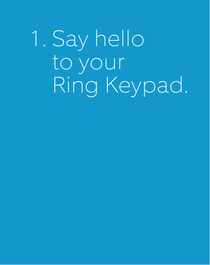 41.  Say hello    to your    Ring Keypad.