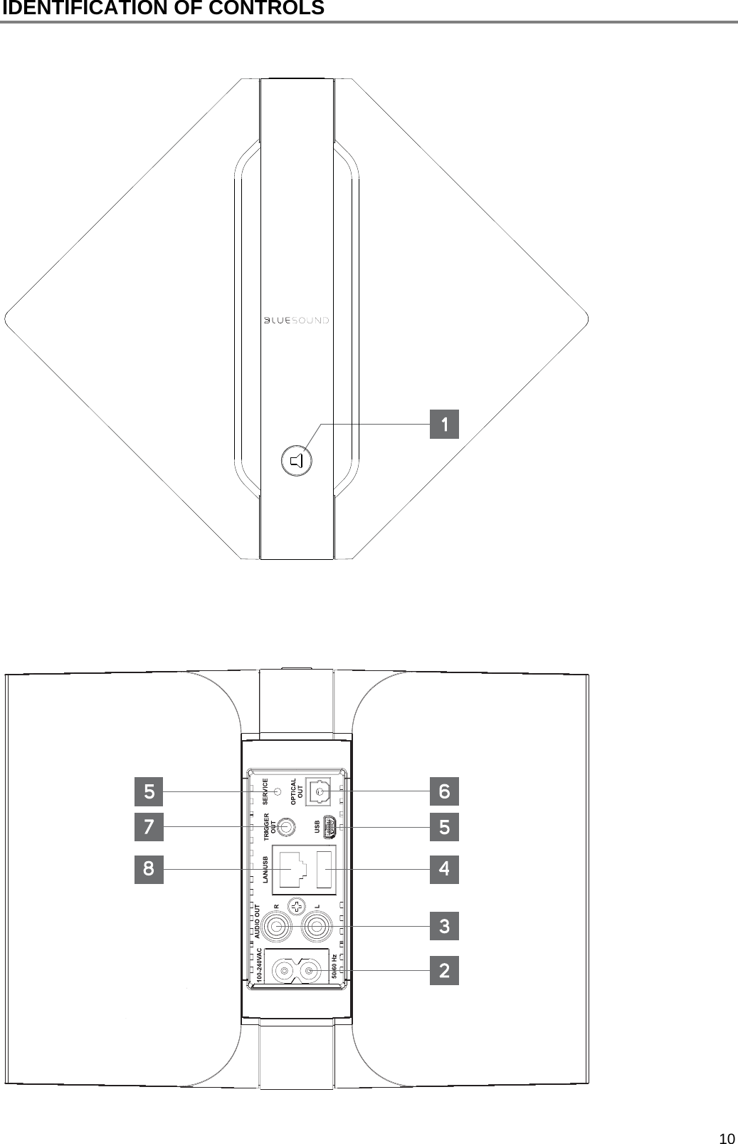  10 IDENTIFICATION OF CONTROLS      