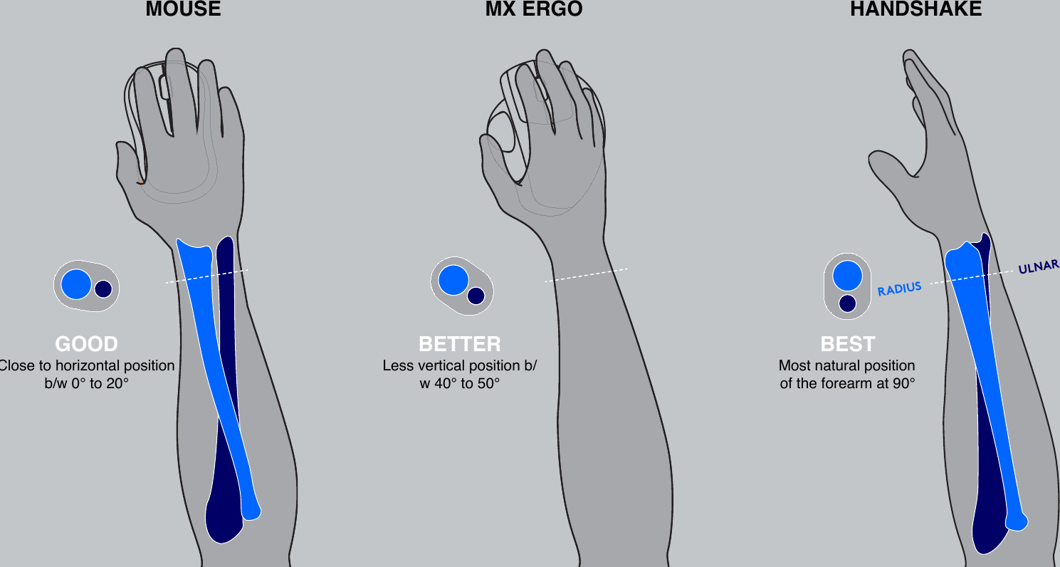 BETTERLess vertical position b/w 40° to 50°MX ERGOHANDSHAKERADIUS ULNARBEST!Most natural position of the forearm at 90°MOUSEGOODClose to horizontal position b/w 0° to 20°