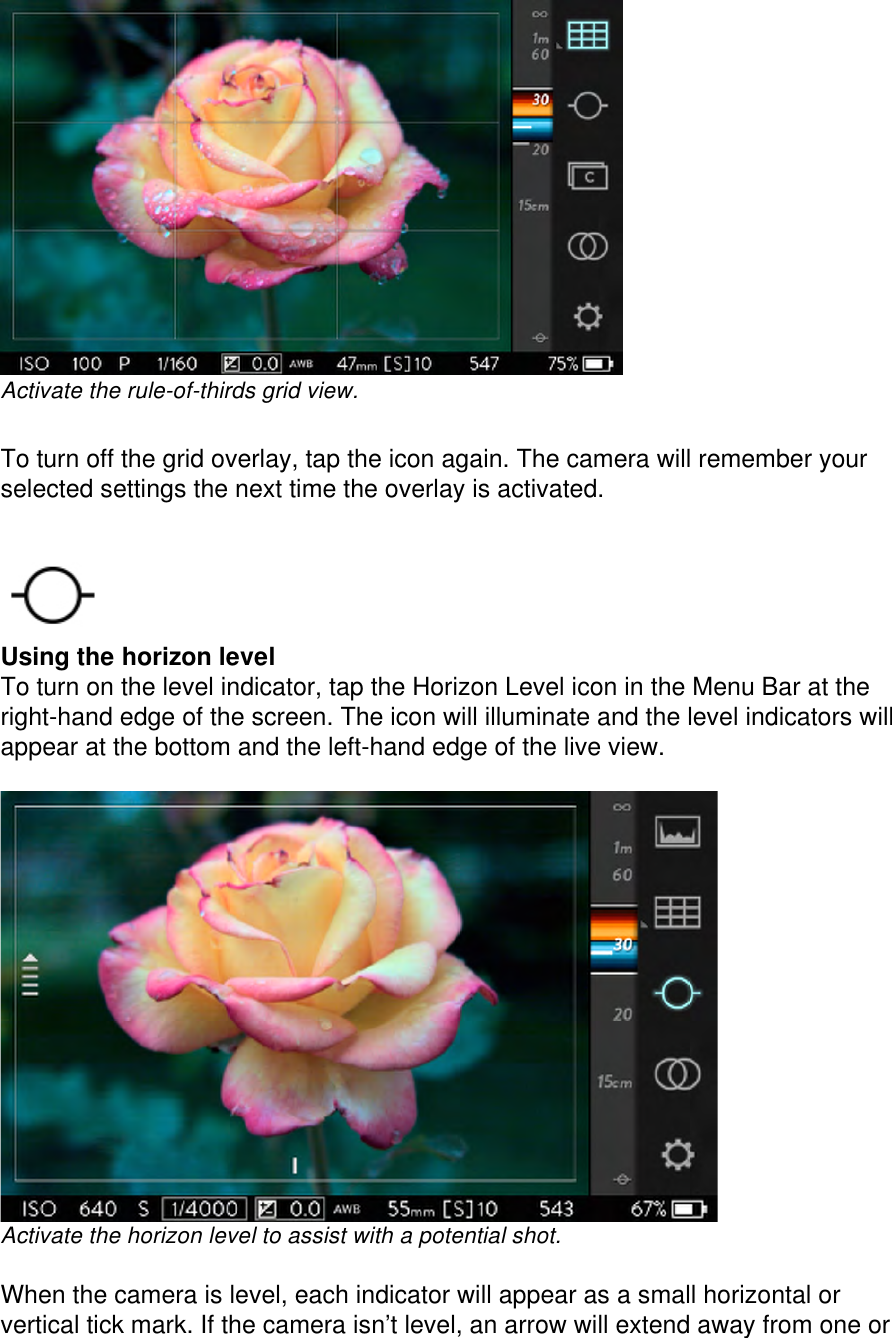  Activate the rule-of-thirds grid view.  To turn off the grid overlay, tap the icon again. The camera will remember your selected settings the next time the overlay is activated.    Using the horizon level  To turn on the level indicator, tap the Horizon Level icon in the Menu Bar at the right-hand edge of the screen. The icon will illuminate and the level indicators will appear at the bottom and the left-hand edge of the live view.    Activate the horizon level to assist with a potential shot.  When the camera is level, each indicator will appear as a small horizontal or vertical tick mark. If the camera isn’t level, an arrow will extend away from one or 