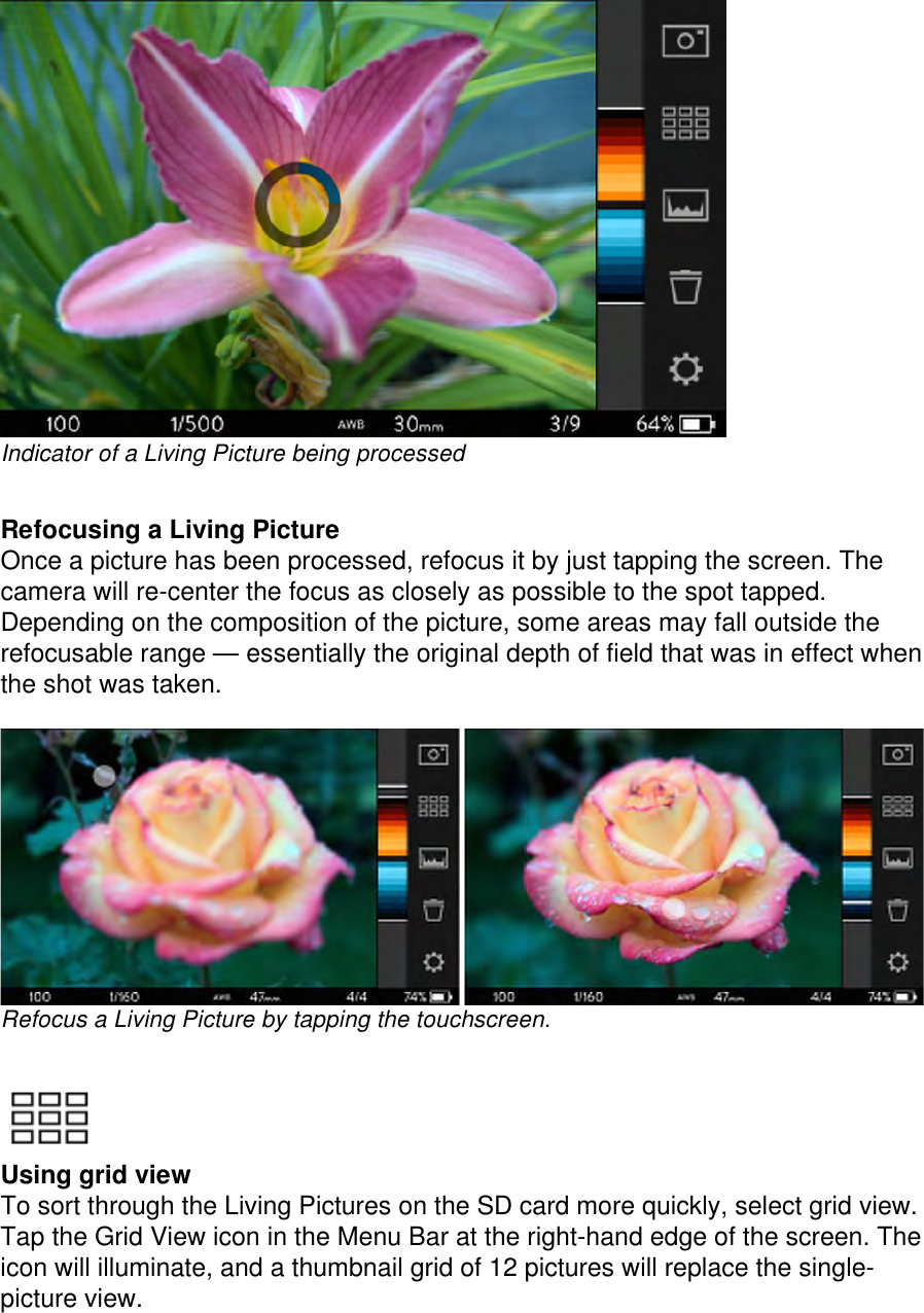  Indicator of a Living Picture being processed   Refocusing a Living Picture  Once a picture has been processed, refocus it by just tapping the screen. The camera will re-center the focus as closely as possible to the spot tapped. Depending on the composition of the picture, some areas may fall outside the refocusable range — essentially the original depth of field that was in effect when the shot was taken.   Refocus a Living Picture by tapping the touchscreen.    Using grid view To sort through the Living Pictures on the SD card more quickly, select grid view. Tap the Grid View icon in the Menu Bar at the right-hand edge of the screen. The icon will illuminate, and a thumbnail grid of 12 pictures will replace the single-picture view.    