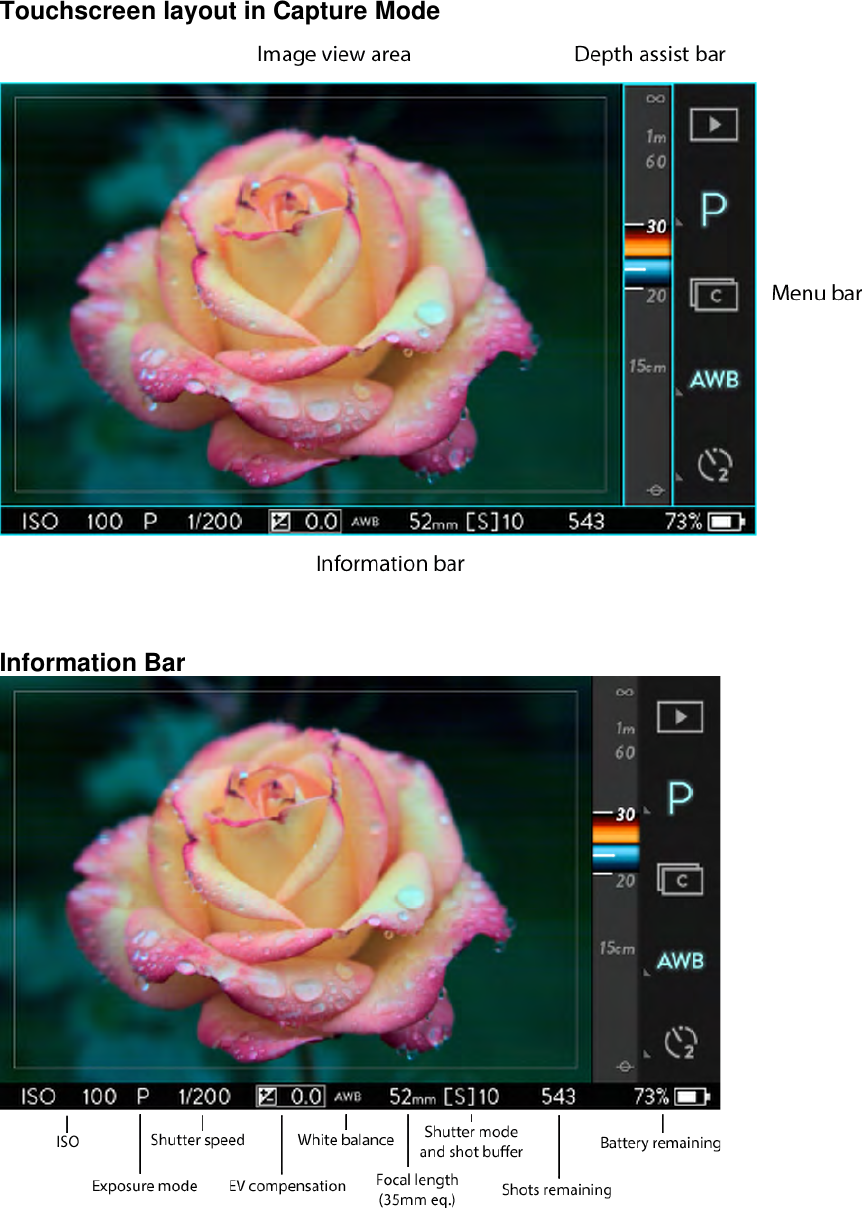 Touchscreen layout in Capture Mode    Information Bar    