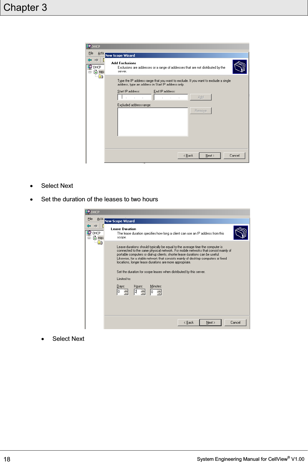 Chapter 3  18  System Engineering Manual for CellView© V1.00    x Select Next x  Set the duration of the leases to two hours  x Select Next 