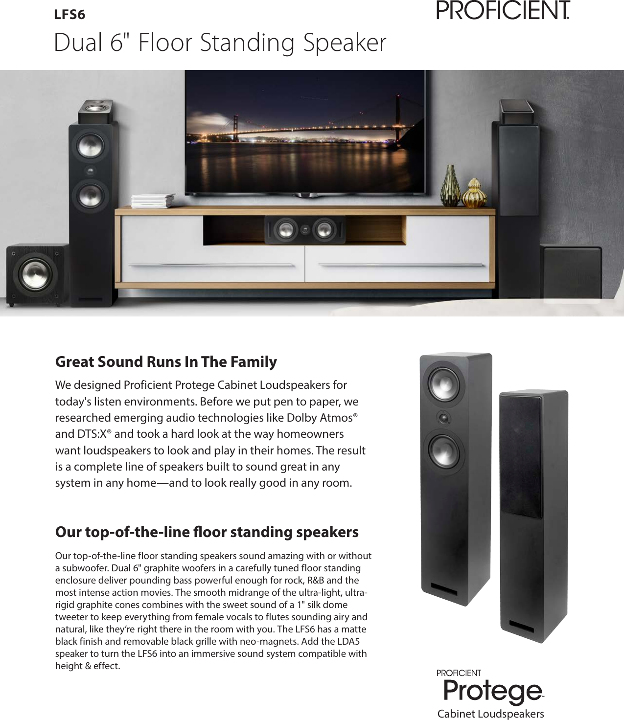 Page 1 of 2 - Pdf LFS6 Datasheet