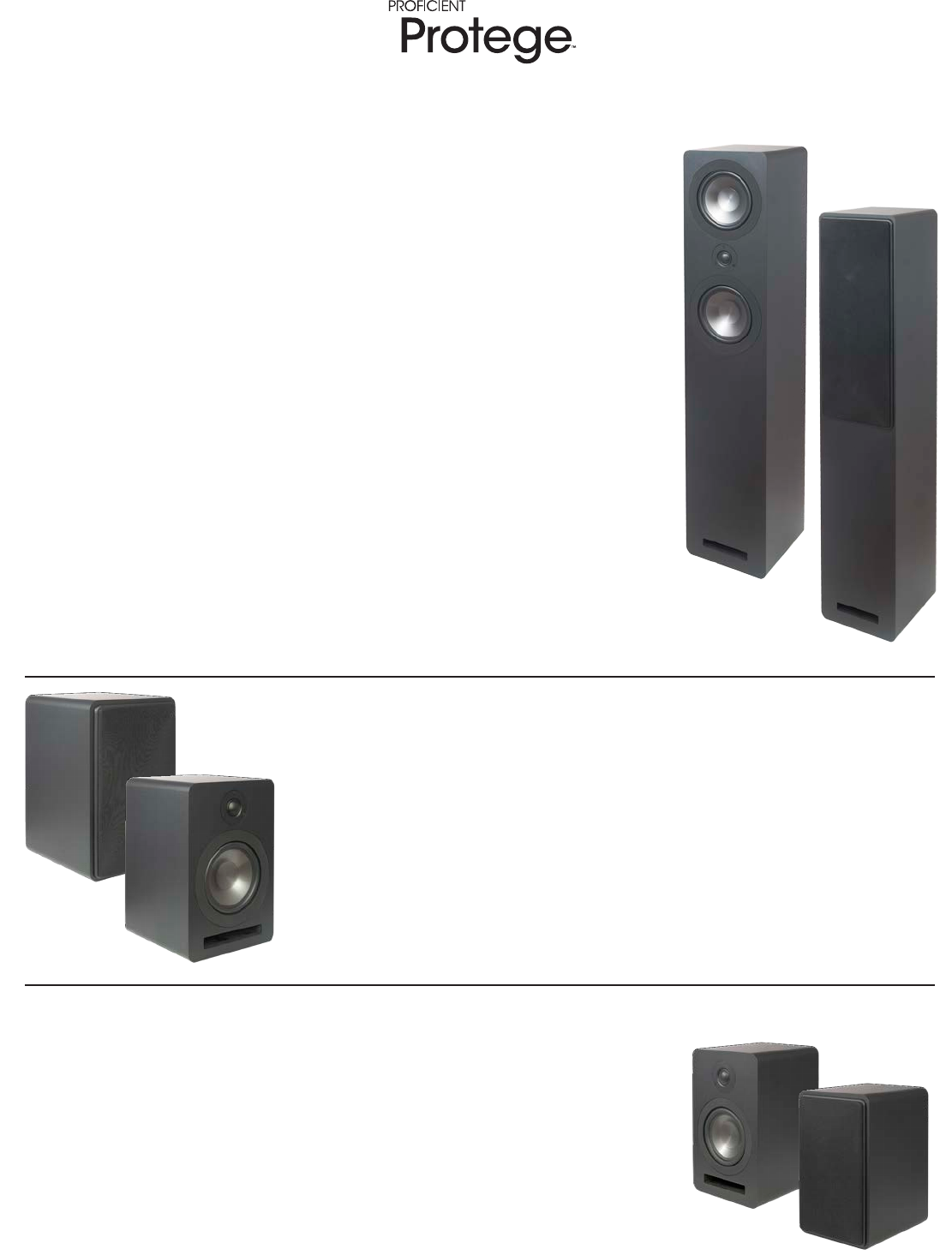 proficient s12 subwoofer price