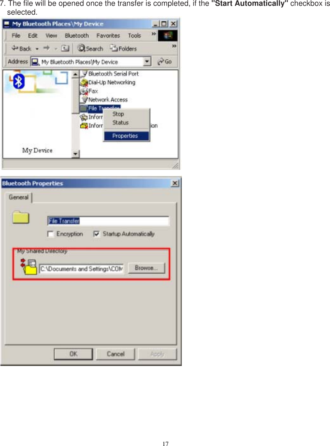 7. The file will be opened once the transfer is completed, if the &quot;Start Automatically&quot; checkbox is selected.          17 