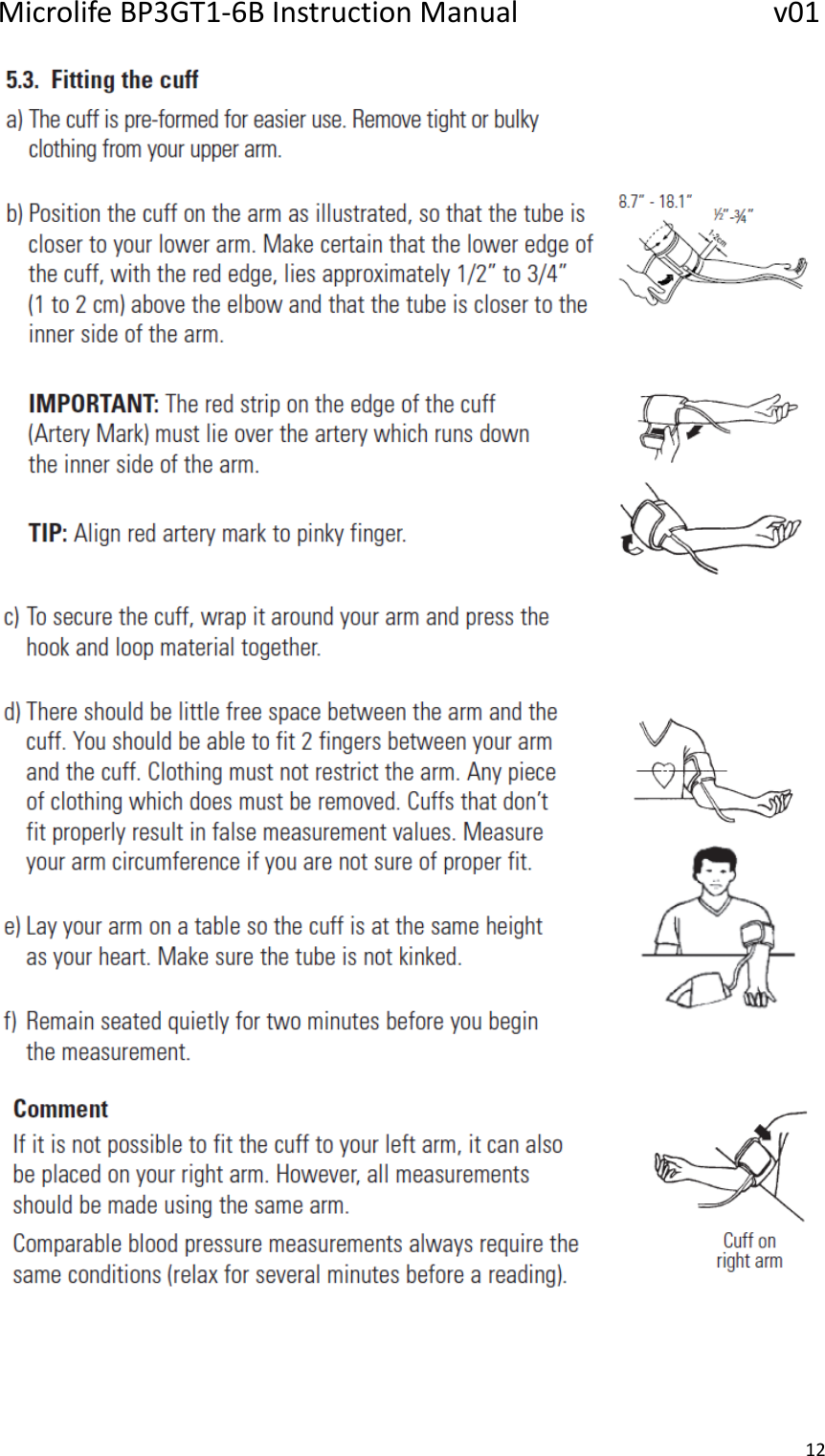 MicrolifeBP3GT1‐6BInstructionManualv0112