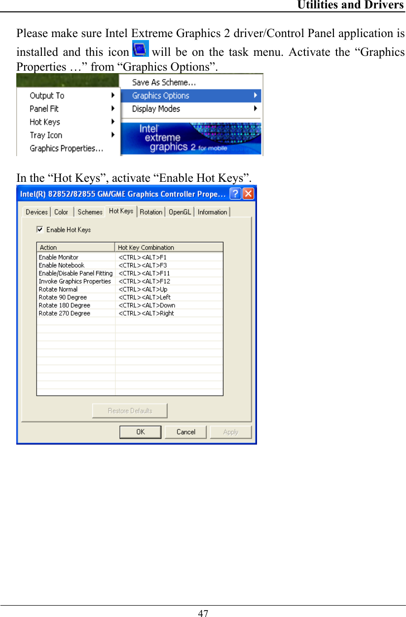 Utilities and Drivers  47 Please make sure Intel Extreme Graphics 2 driver/Control Panel application is installed and this icon   will be on the task menu. Activate the “Graphics Properties …” from “Graphics Options”.   In the “Hot Keys”, activate “Enable Hot Keys”.    