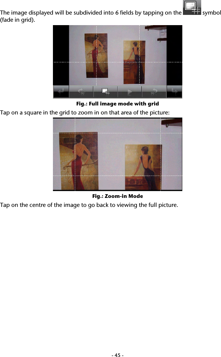  -45-The image displayed will be subdivided into 6 fields by tapping on the   symbol (fade in grid).   Fig.: Full image mode with grid  Tap on a square in the grid to zoom in on that area of the picture:    Fig.: Zoom-in Mode Tap on the centre of the image to go back to viewing the full picture.   