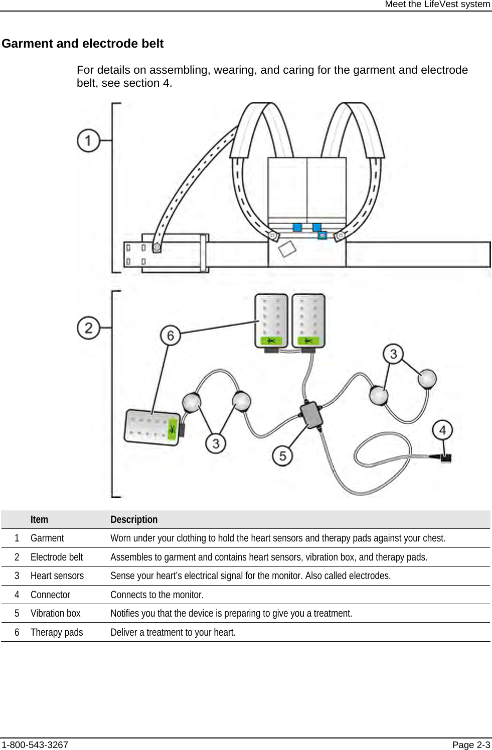 Meet the LifeVest system Garment and electrode belt For details on assembling, wearing, and caring for the garment and electrode belt, see section 4.   Item  Description 1  Garment  Worn under your clothing to hold the heart sensors and therapy pads against your chest. 2  Electrode belt  Assembles to garment and contains heart sensors, vibration box, and therapy pads. 3  Heart sensors  Sense your heart’s electrical signal for the monitor. Also called electrodes. 4  Connector  Connects to the monitor. 5  Vibration box  Notifies you that the device is preparing to give you a treatment. 6  Therapy pads  Deliver a treatment to your heart. 1-800-543-3267  Page 2-3 