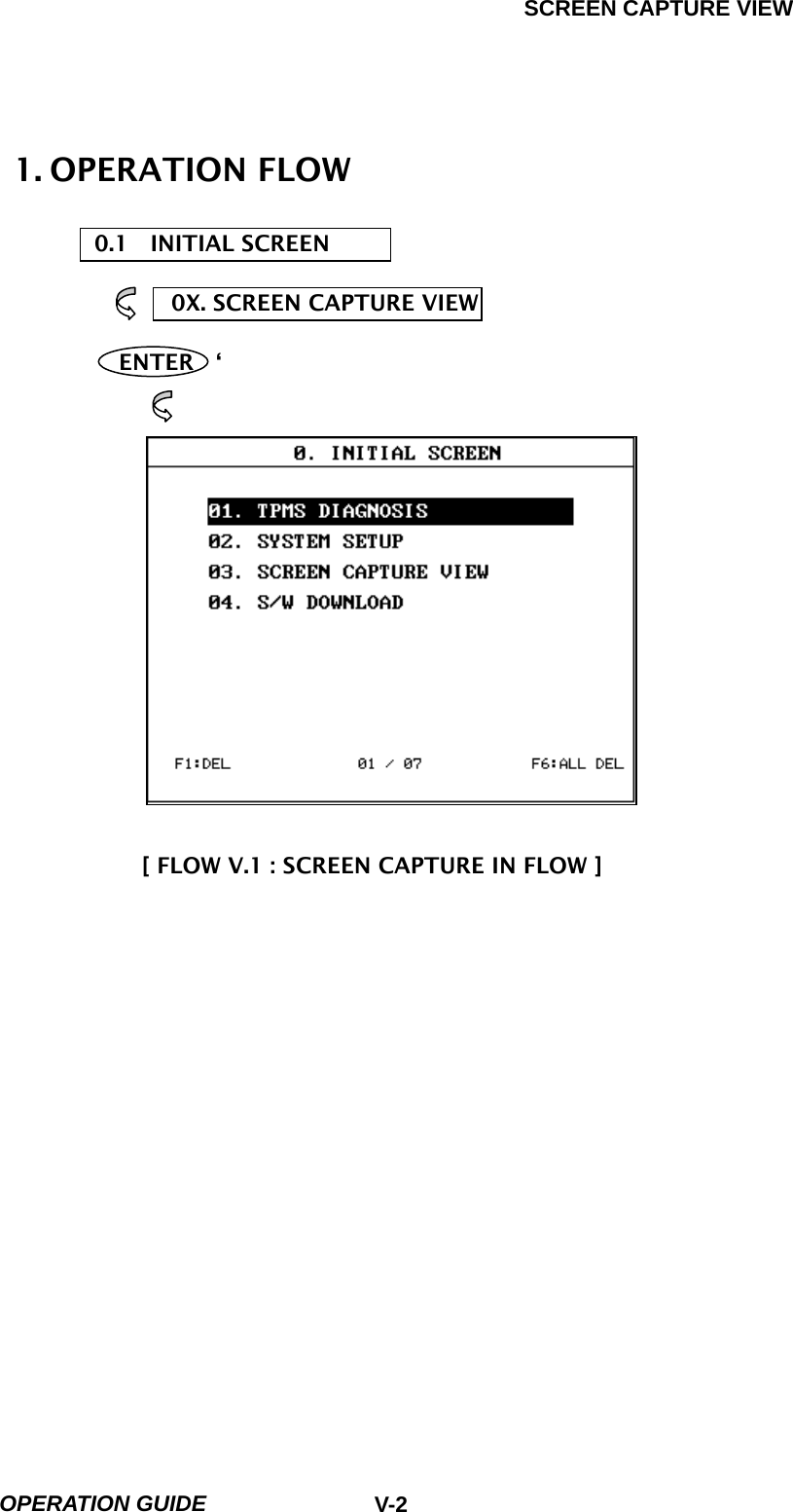 SCREEN CAPTURE VIEW  OPERATION GUIDE  V-21. OPERATION FLOW  0.1  INITIAL SCREEN  0X. SCREEN CAPTURE VIEW    ENTER  ‘                      [ FLOW V.1 : SCREEN CAPTURE IN FLOW ] 