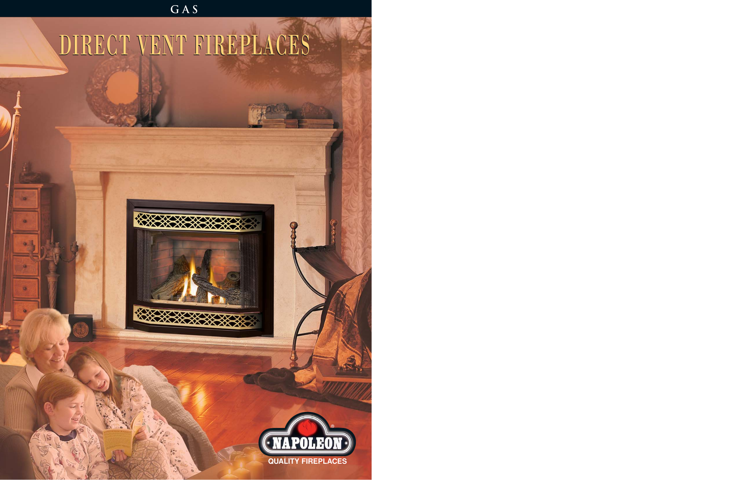 Napoleon Fireplaces Bgd38nt Users Manual Nap Direct Vent Brochure