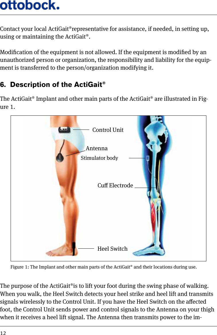 12Contact your local ActiGait&reg;representative for assistance, if needed, in setting up, using or maintaining the ActiGait&reg;.Modication of the equipment is not allowed. If the equipment is modied by an unauthorized person or organization, the responsibility and liability for the equip-ment is transferred to the person/organization modifying it.6.  Description of the ActiGait&reg;The ActiGait&reg; Implant and other main parts of the ActiGait&reg; are illustrated in Fig-ure 1. Figure 1: The Implant and other main parts of the ActiGait&reg; and their locations during use.Control UnitHeel SwitchCu ElectrodeStimulator bodyAntennaThe purpose of the ActiGait&reg;is to lift your foot during the swing phase of walking. When you walk, the Heel Switch detects your heel strike and heel lift and transmits signals wirelessly to the Control Unit. If you have the Heel Switch on the aected foot, the Control Unit sends power and control signals to the Antenna on your thigh when it receives a heel lift signal. The Antenna then transmits power to the im-