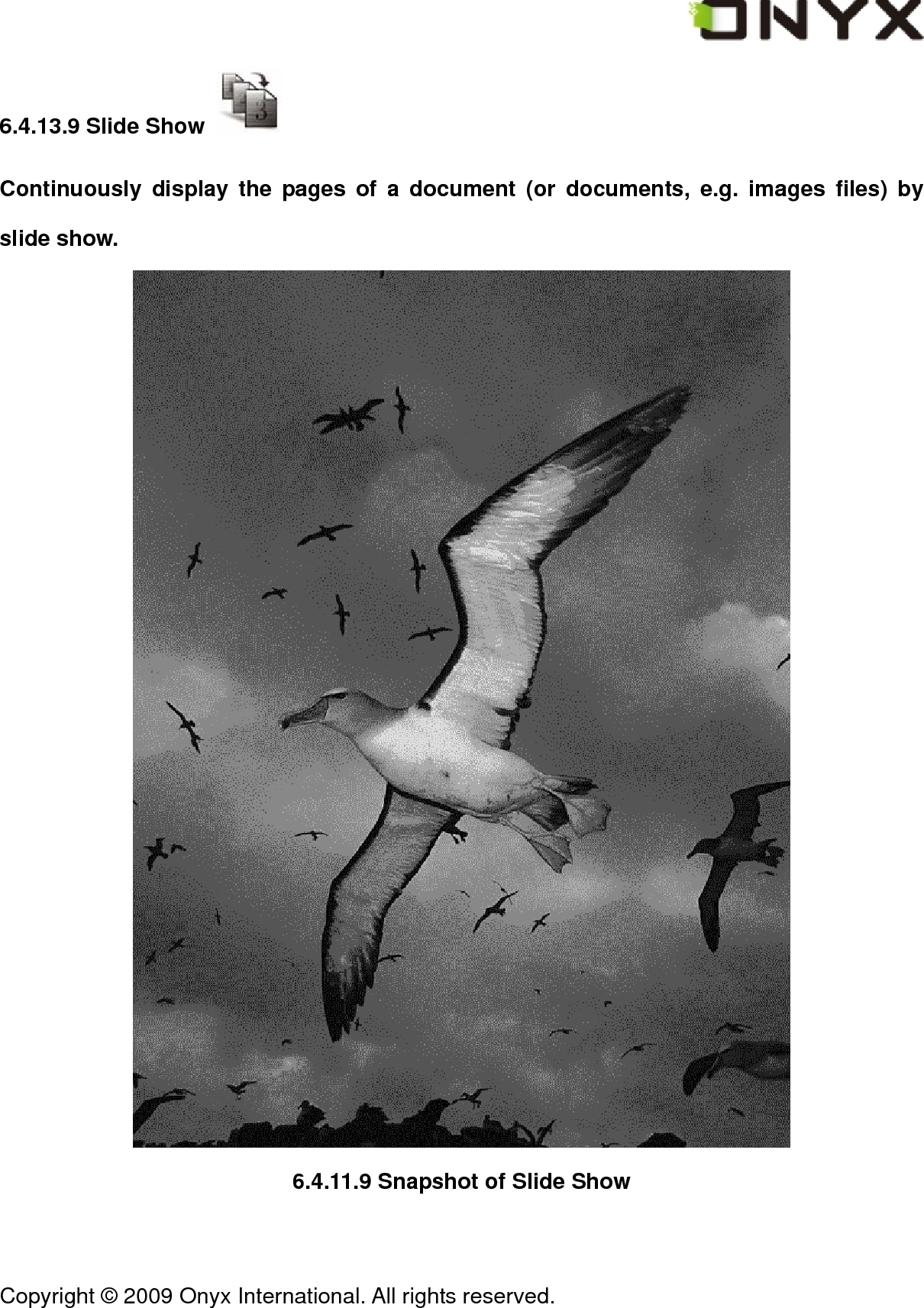  Copyright &copy; 2009 Onyx International. All rights reserved.                                 6.4.13.9 Slide Show   Continuously display the pages of a document (or documents, e.g. images files) by slide show.  6.4.11.9 Snapshot of Slide Show 